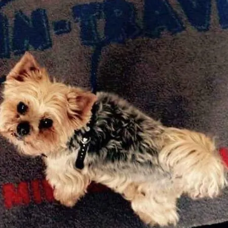 Wolin-travel Statek Z Widokiem Na Morze Daire Miedzyzdroje