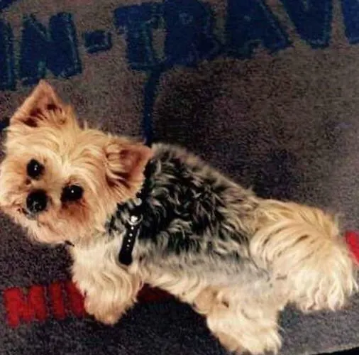 Wolin-travel Statek Z Widokiem Na Morze Appartement Miedzyzdroje